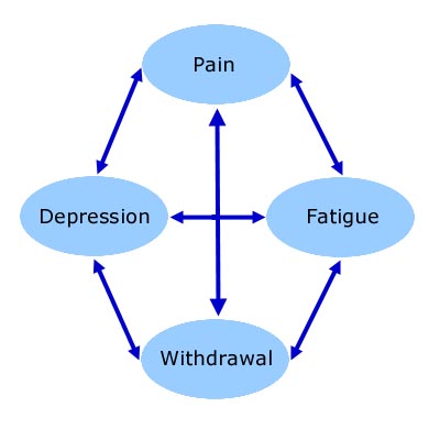 pain_cycle